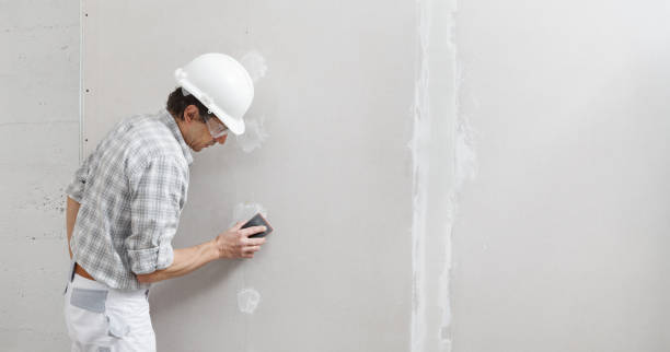 Best HVAC Mold Inspection and Cleaning  in Black Canyon City, AZ