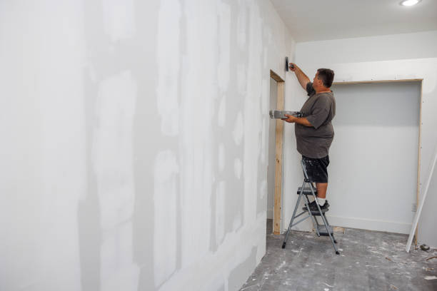 Trusted Black Canyon City, AZ Mold Removal Experts