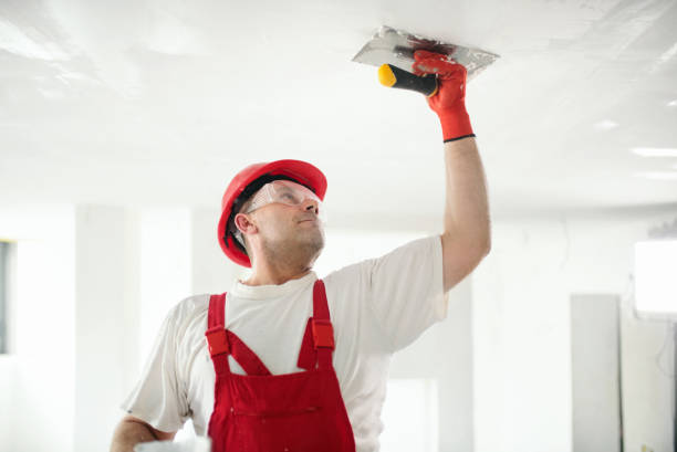 Best Biohazard Mold Removal  in Black Canyon City, AZ