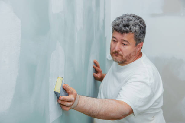 Best Asbestos and Lead Testing During Mold Inspection  in Black Canyon City, AZ