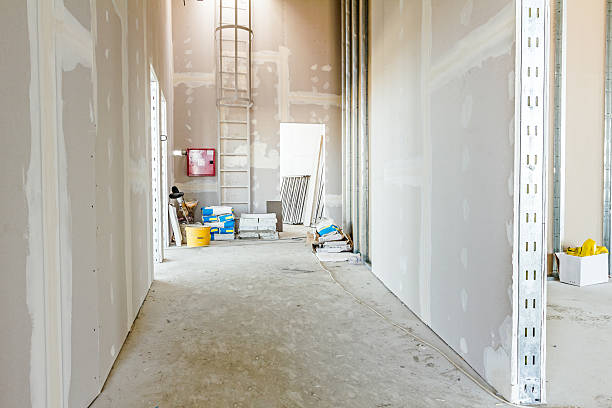 Best Mold Documentation for Insurance Claims  in Black Canyon City, AZ